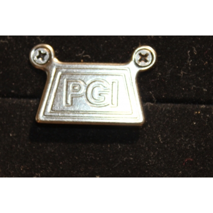 Cadre à photo en métal argenté par PGI