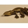 Lézard en laiton par PEERAGE