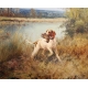 Tableau "Chien de chasse" signé J RENAUD