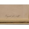 Engraving entitled ‘Violet Touraco’ by AUGUSTE