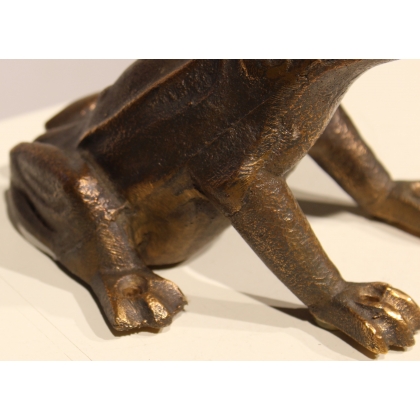 Bronze frog
