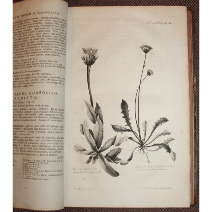 Livre "Stirpium indigenarum Helvetiae" 3 tomes