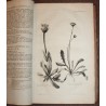 Livre "Stirpium indigenarum Helvetiae" 3 tomes
