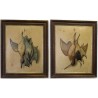 Paire de lithographies "Oiseaux" en relief  sur Moinat SA  - Antiquités décoration -  Gravures, Lithos