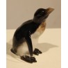 Pingouin en porcelaine Rosenthal