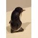 Pingouin en porcelaine Rosenthal