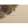 Gravure "Ourse et ses jeunes" signée HAINARD