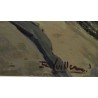Tableau \"Montmartre\" signé R. VUILLEM