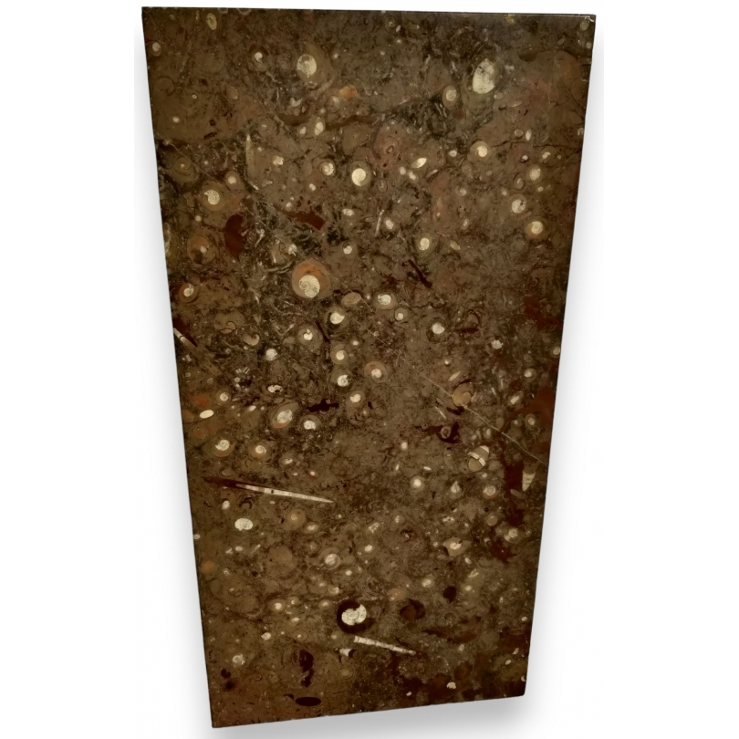 Rectangular tray in Etrusco Fossile marble