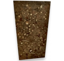 Plateau rectangulaire en marbre Fossile Etrusco