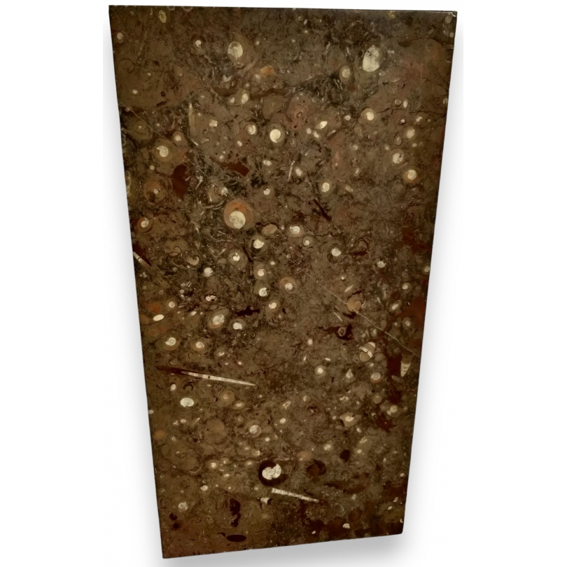 Plateau rectangulaire en marbre Fossile Etrusco