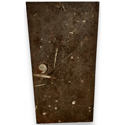 Rectangular tray in Etrusco Fossile marble