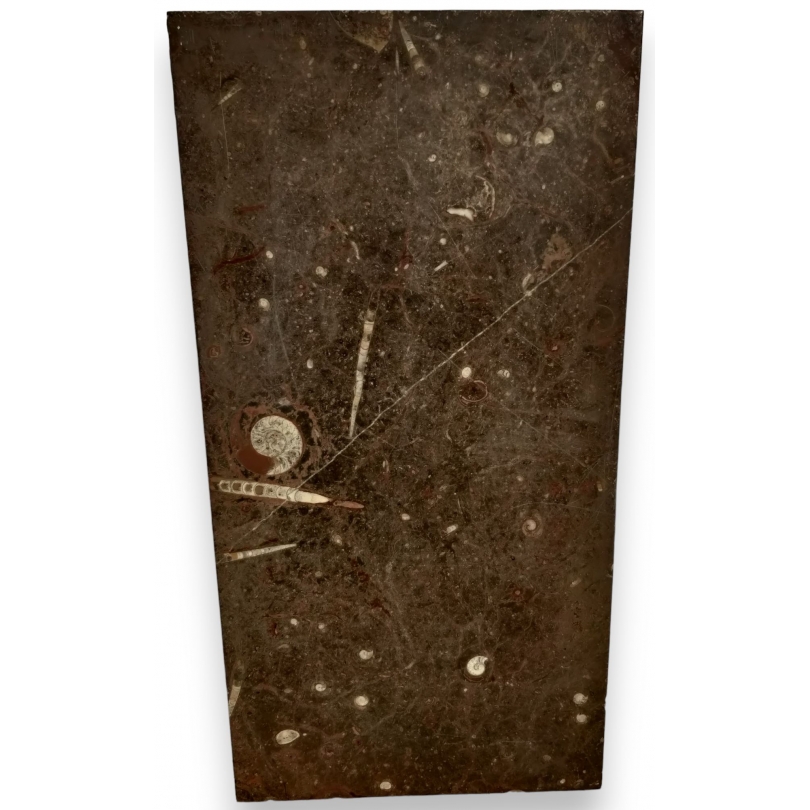 Rectangular tray in Etrusco Fossile marble