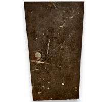 Plateau rectangulaire en marbre Fossile Etrusco