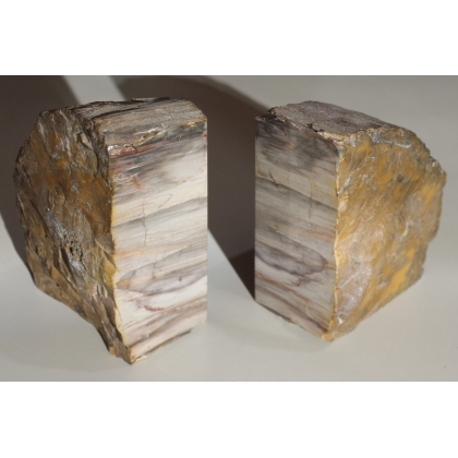Paire de serre-livres en bois fossilisé