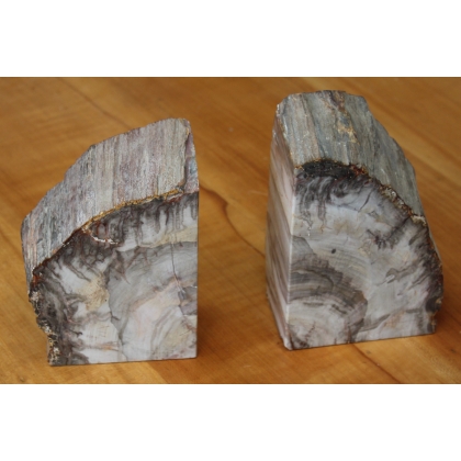 Paire de serre-livres en bois fossilisé
