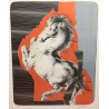 Lithographie "Cheval cabré" signée ERNI 76