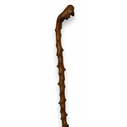 Monoxyl walking stick made from thorny wood