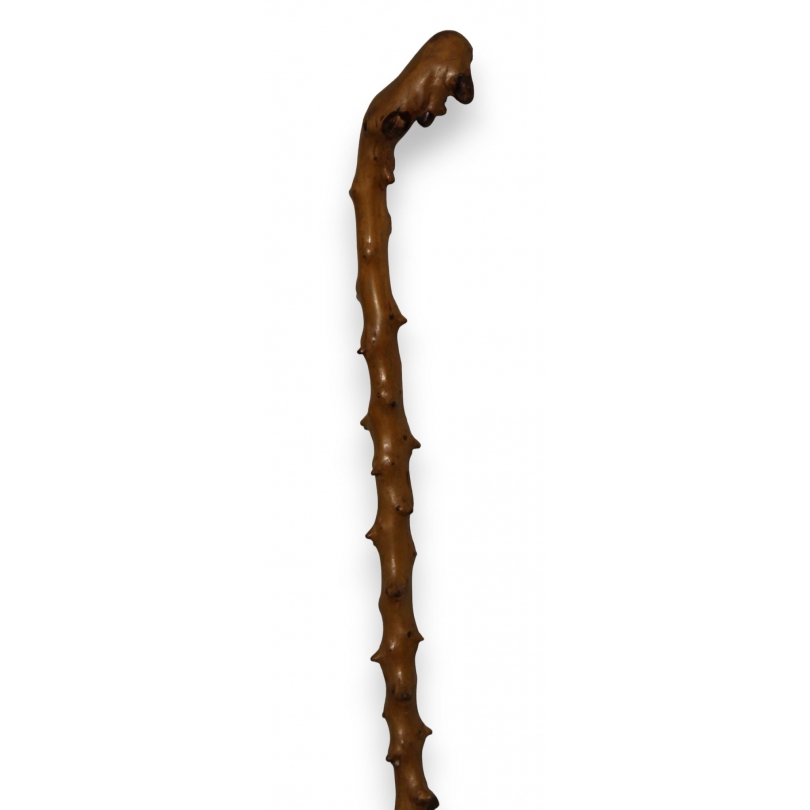 Monoxyl walking stick made from thorny wood