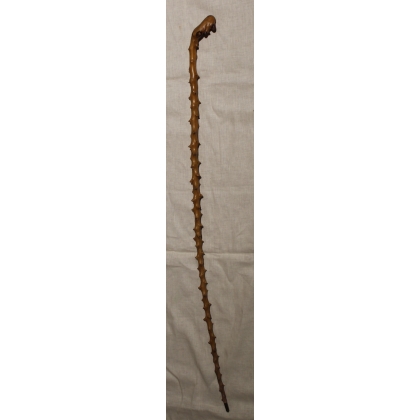 Monoxyl walking stick made from thorny wood