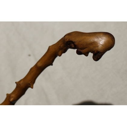 Monoxyl walking stick made from thorny wood