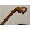 Monoxyl walking stick made from thorny wood