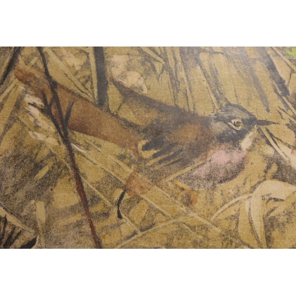 Gravure "Fauvette grisette" signée HAINARD