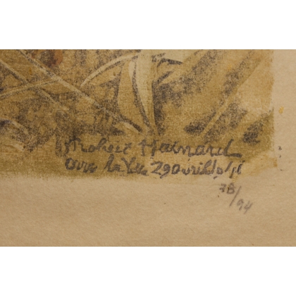 Gravure "Fauvette grisette" signée HAINARD