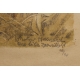 Gravure "Fauvette grisette" signée HAINARD