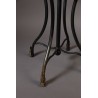 Flavi Iron Parrot Coat Rack