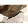 Cygne en bronze, signé REUSSNER