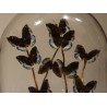 Globe de papillons \"Lexias pardalis jadeitina\"