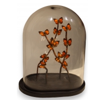 Globe de papillons oranges