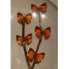 Globe de papillons oranges