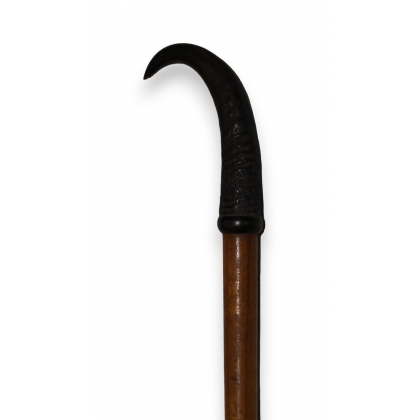 Mountain walking stick with a chamois horn handle