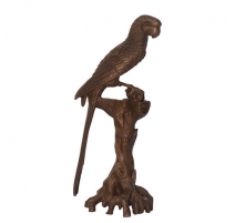 Bronze Macaw sur une branche