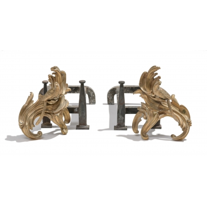 Paire de chenets style Louis XV "Perroquets"