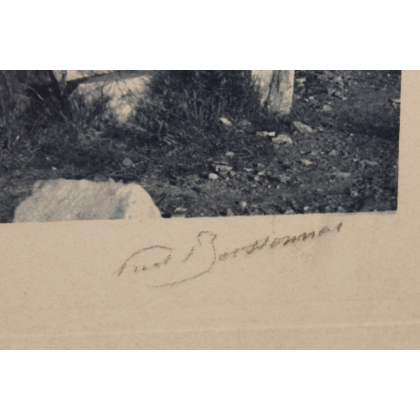 Photograph entitled ‘Temple in Greece’, signed by BOISSONNAS