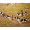Poya \"Sur l\'alpage\" signée M KUNZI 83