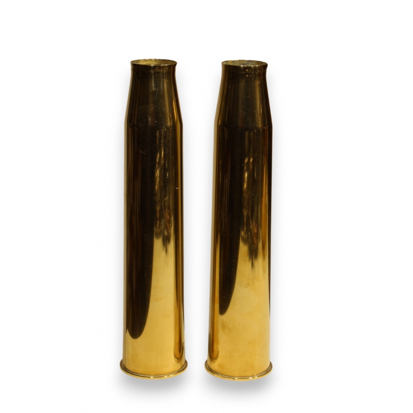 Pair of shell-shaped vases