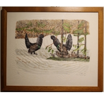 Lithographie "Grand Tétras" signée C. STERN 92