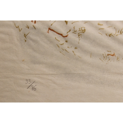 Lithographie "Grand Tétras" signée C. STERN 92