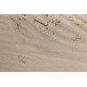 Lithographie "Grand Tétras" signée C. STERN 92