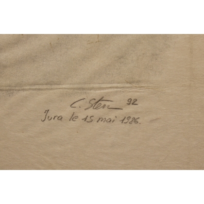 Lithographie "Grand Tétras" signée C. STERN 92