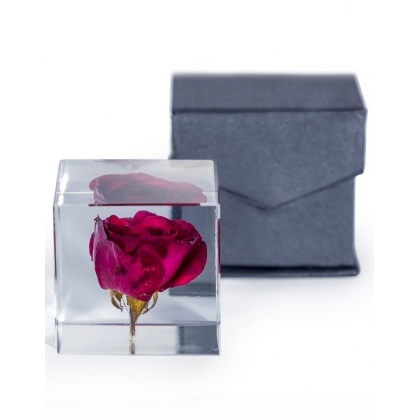 Presse-papier rose dans un bloc en acrylique