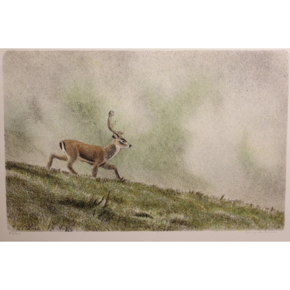 Gravure "Cerf" signée RIME