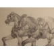 Dessin "Chevaux" signé IHLY