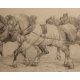 Dessin "Chevaux" signé IHLY