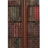 English mahogany bookcase
