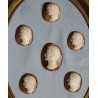 Collection de cammée "Empereurs" encadrées